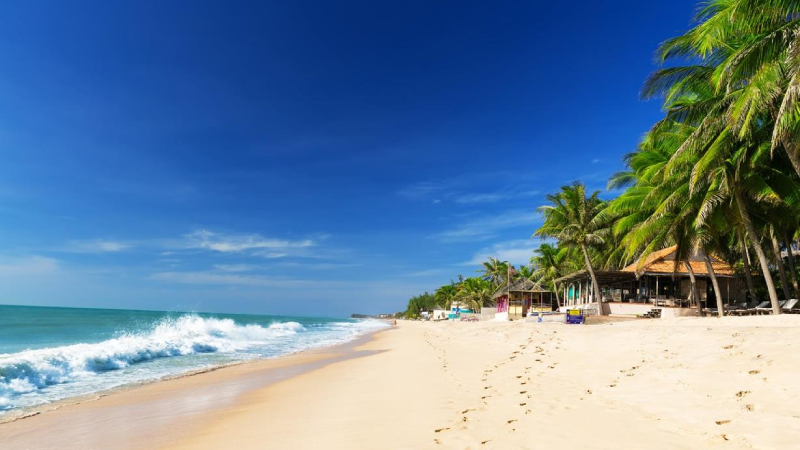 Xe từ sân bay Tân Sơn Nhất đi Mũi Né Phan Thiết giá rẻ